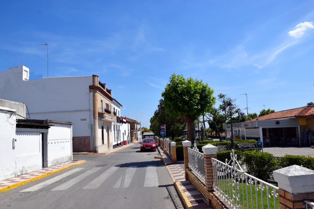 Foto: Paseo de la Libertad - Escacena del Campo (Huelva), España