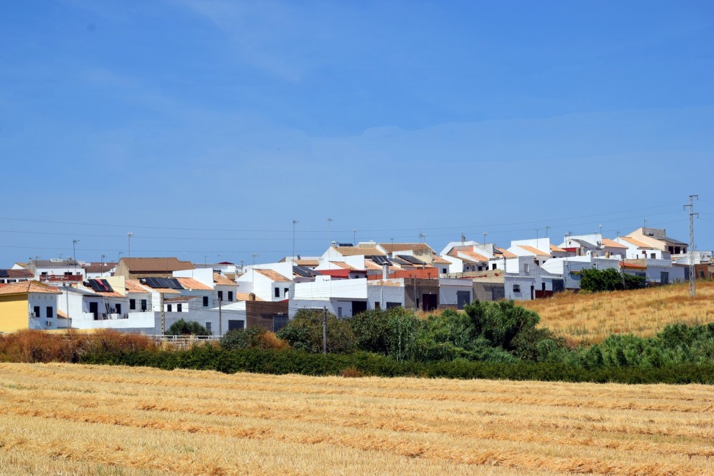 Foto: Vistas desde la carretera - Escacena del Campo (Huelva), España