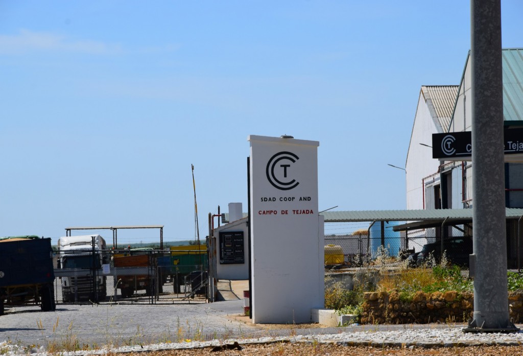Foto: Entrada a la Cooperativa - Escacena del Campo (Huelva), España
