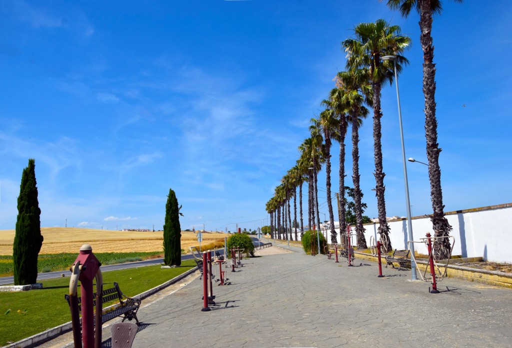 Foto: Avenida Pedro Ortega Galiano - Escacena del Campo (Huelva), España
