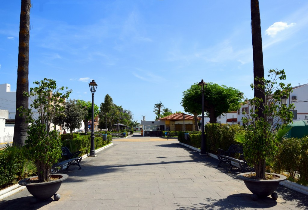 Foto: Parque Municipal José Acosta Escobar - Escacena del Campo (Huelva), España