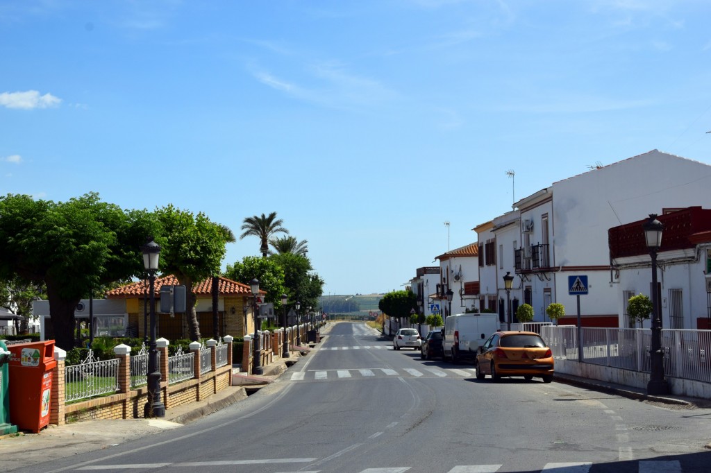 Foto: Carretera a Chucena y Manzanilla - Escacena del Campo (Huelva), España