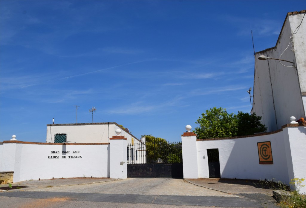 Foto: Sociedad Andaluza Coperativa Campo de Tejada - Escacena del Campo (Huelva), España
