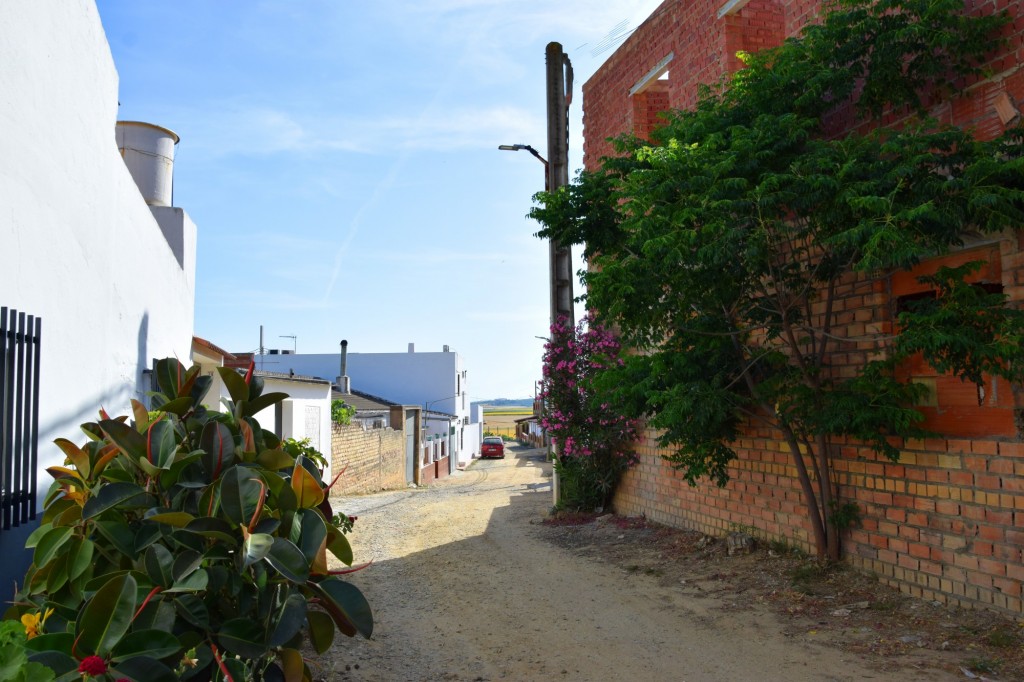 Foto: Calle La Perdiz - Aldea de Tujena (Huelva), España