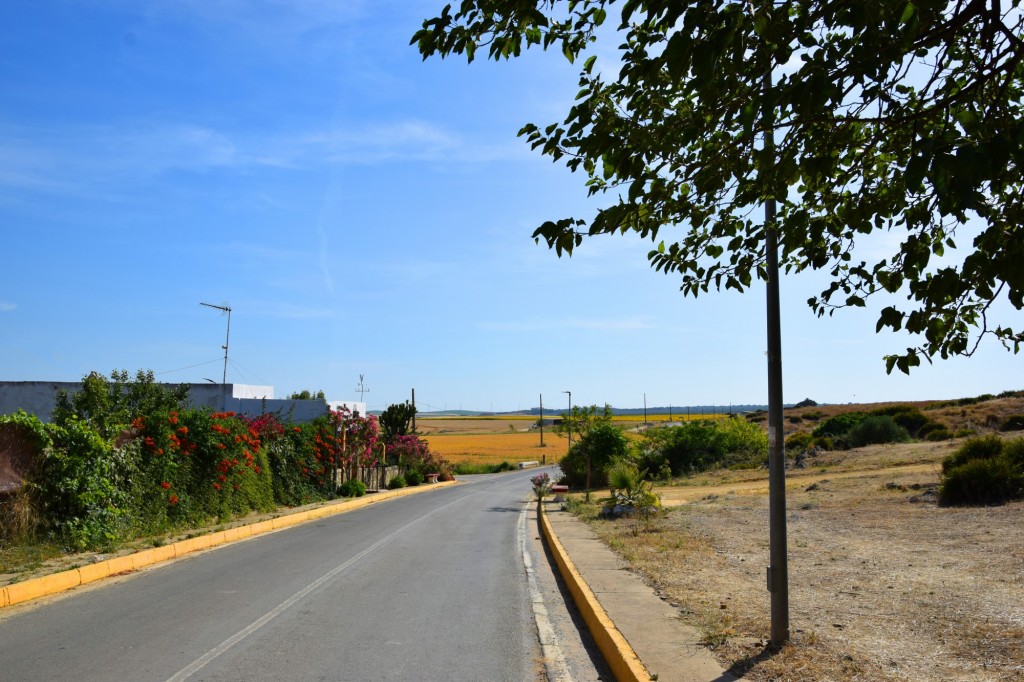 Foto: Carretera a Paterna - Aldea de Tujena (Huelva), España