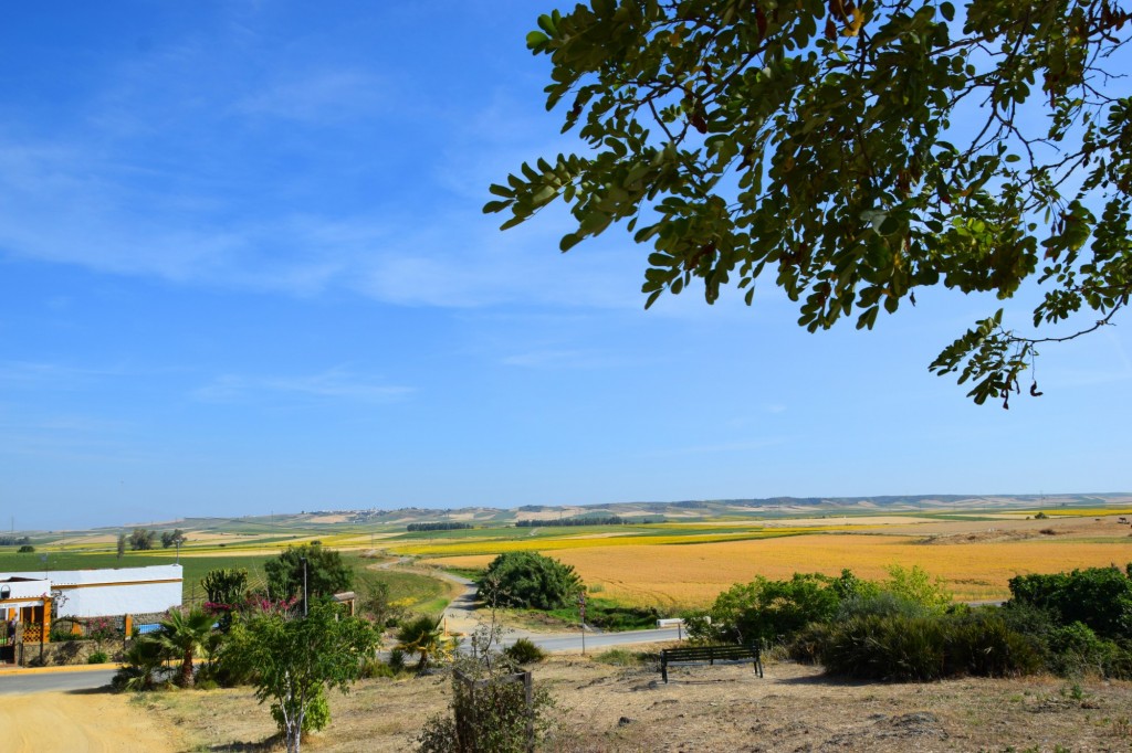 Foto de Aldea de Tujena (Huelva), España