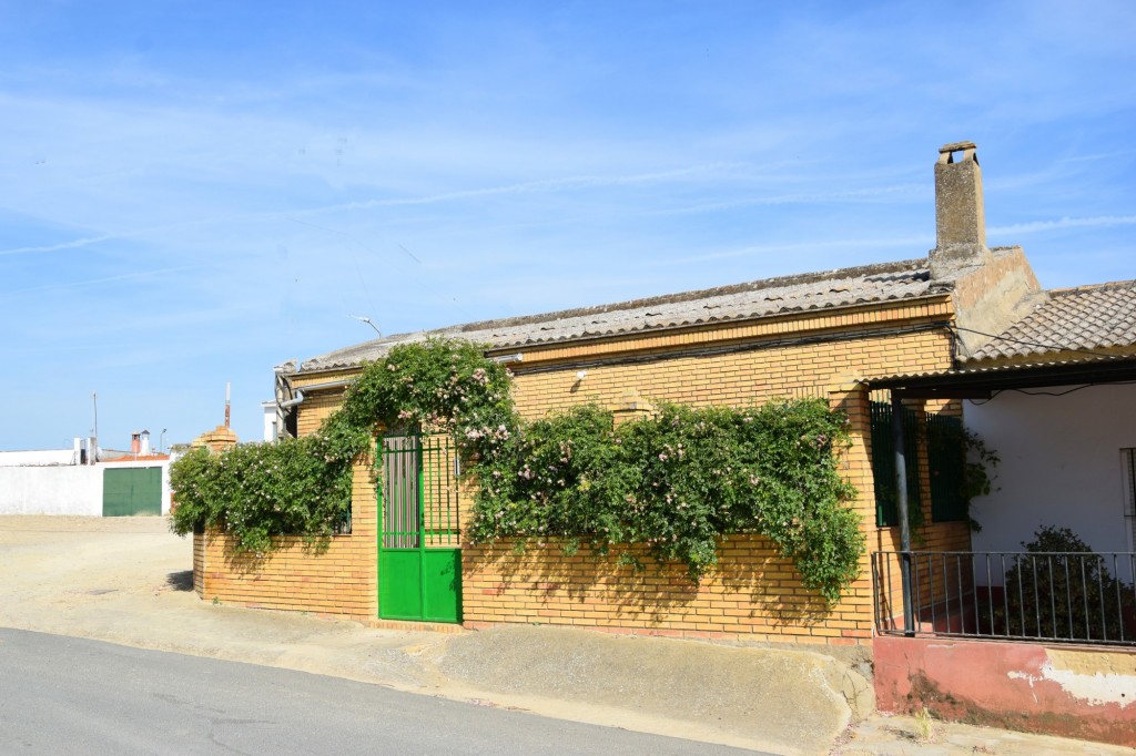 Foto: Carmen María - Aldea de Tujena (Huelva), España