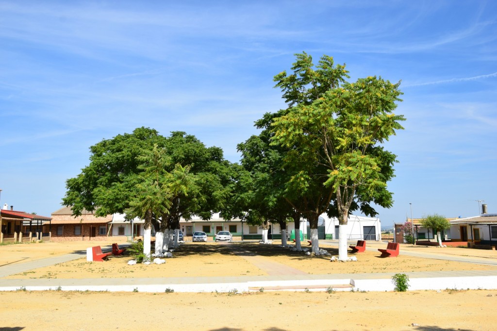 Foto: Alameda - Aldea de Tujena (Huelva), España