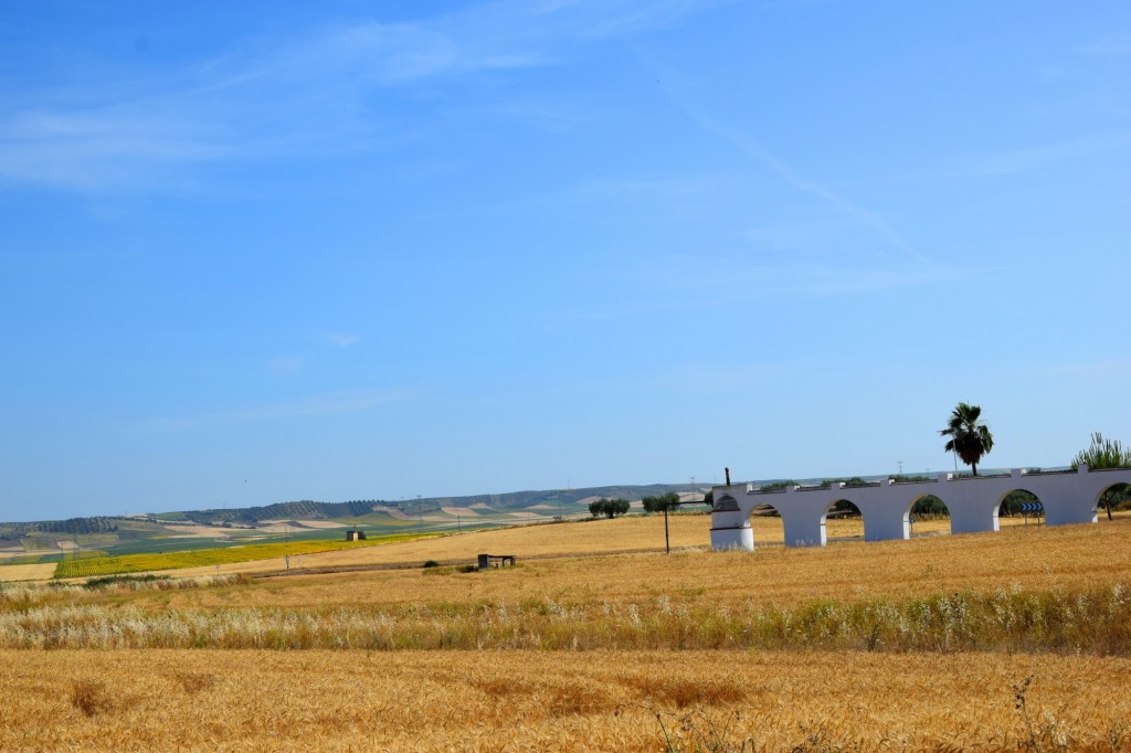 Foto: Camino de Tujena del Cordero - Aldea de Tujena (Huelva), España