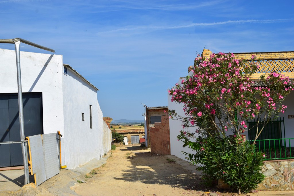 Foto: Calle Brezo - Aldea de Tujena (Huelva), España
