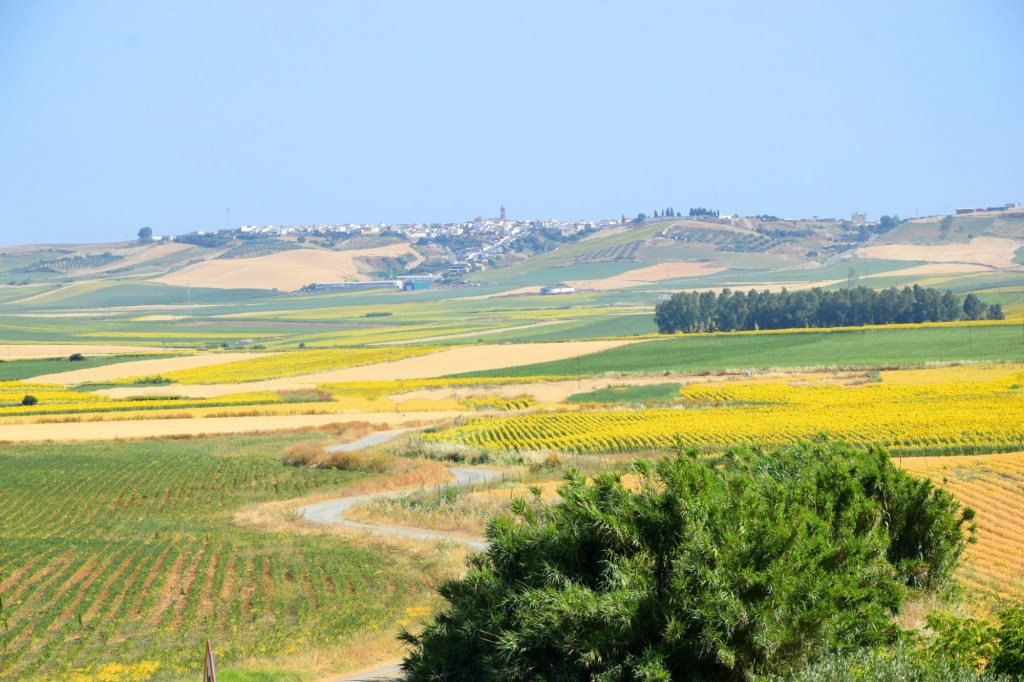 Foto: Camino Vereda de Roque - Aldea de Tujena (Huelva), España