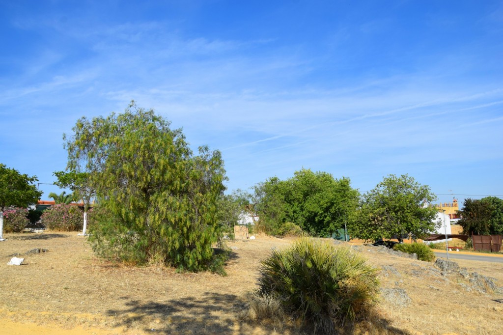 Foto de Aldea de Tujena (Huelva), España
