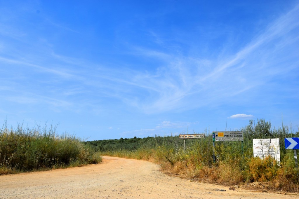 Foto: Camino Forestal Pata del Caballo - Aldea de Tujena (Huelva), España