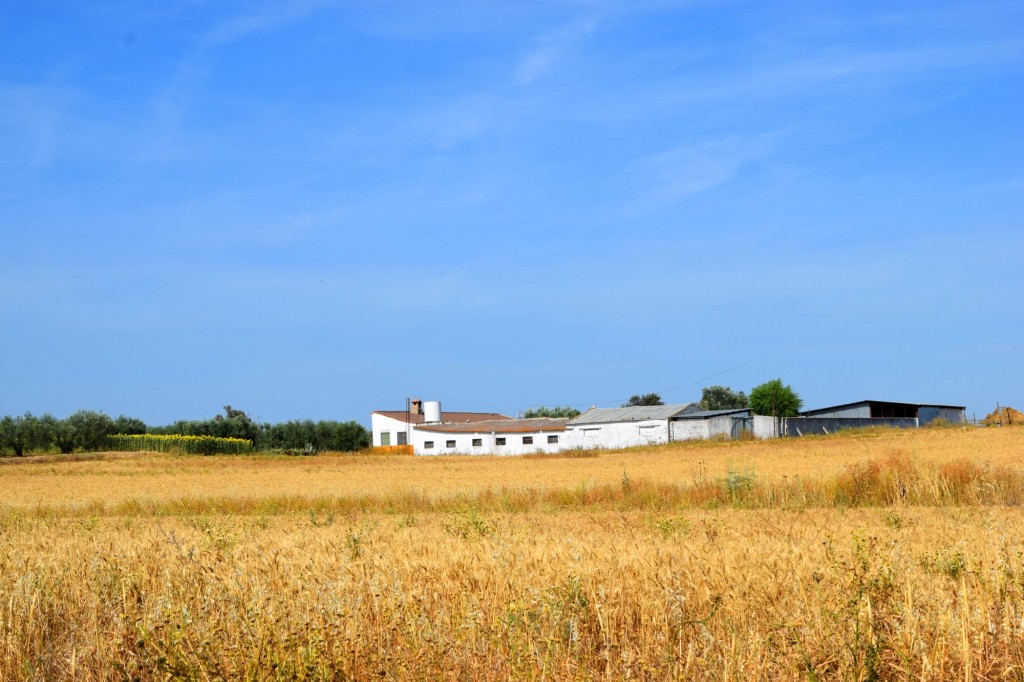 Foto: Caserío - Aldea de Tujena (Huelva), España