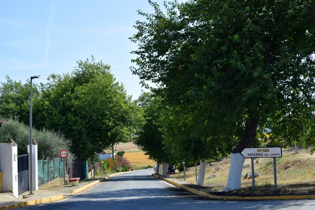 Foto: Carretera Paterna del Campo - Aldea de Tujena (Huelva), España
