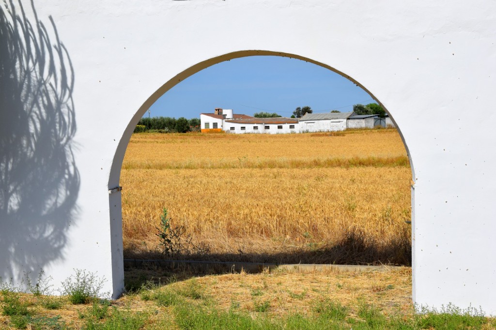 Foto: Arcos del acueducto - Aldea de Tujena (Huelva), España