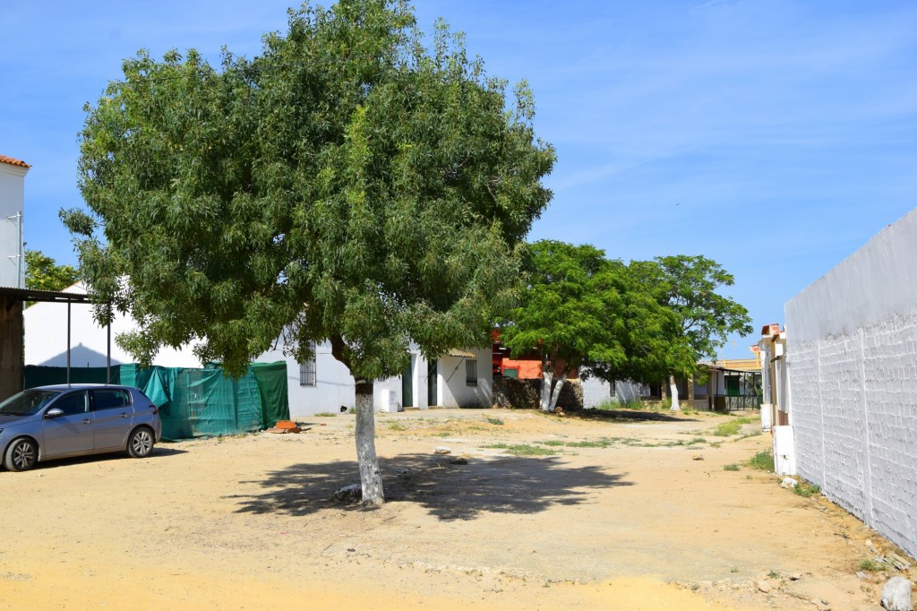 Foto: Calle Plazuela - Aldea de Tujena (Huelva), España