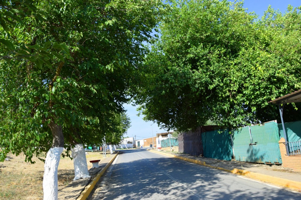 Foto: Calle Fuente Vieja - Aldea de Tujena (Huelva), España