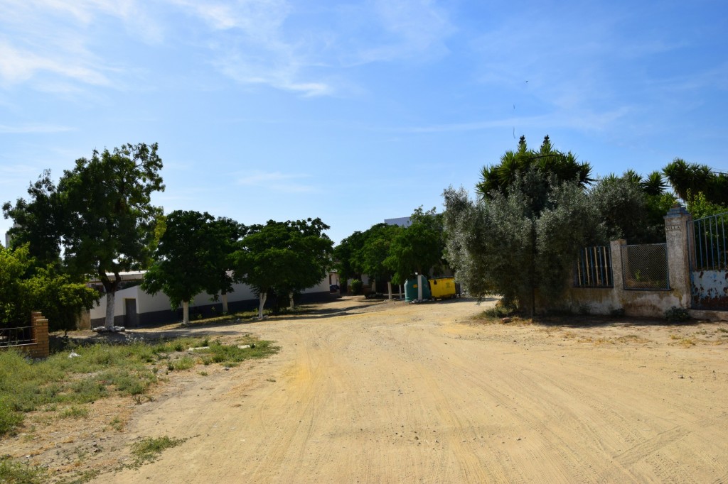 Foto: Calle Amapolas - Aldea de Tujena (Huelva), España