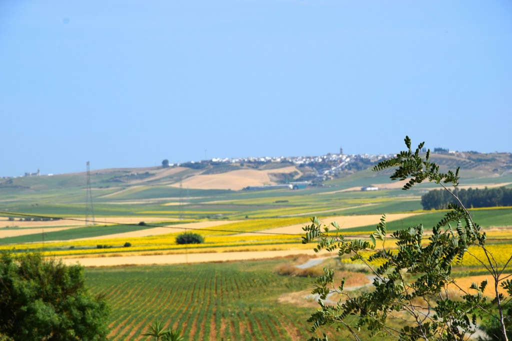 Foto: Vistas a la Campiña - Aldea de Tujena (Huelva), España