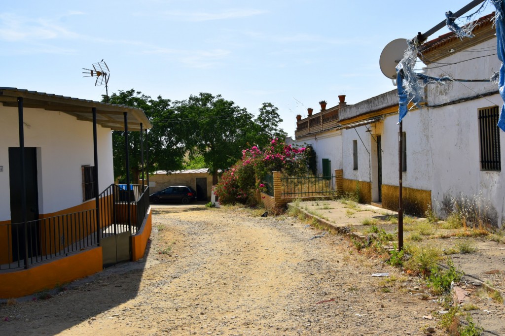 Foto: Calle La Adelfa - Aldea de Tujena (Huelva), España