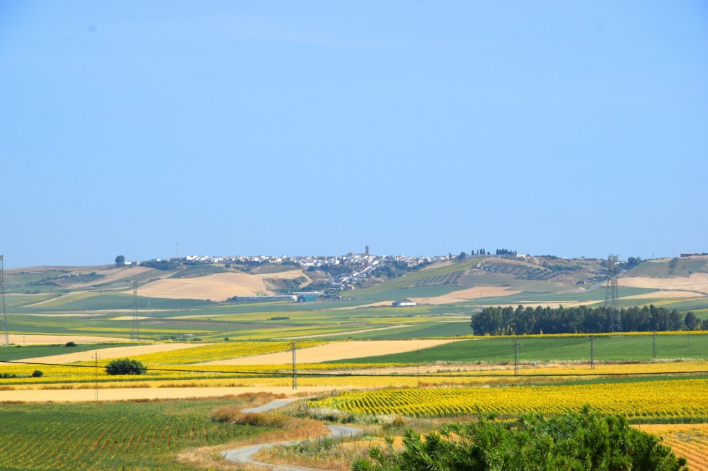 Foto: V.P. Los Aguilones - Aldea de Tujena (Huelva), España