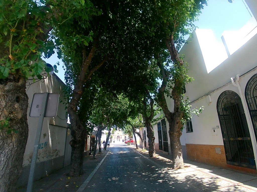 Foto: Calle García de la Herrán - San Fernando (Cádiz), España