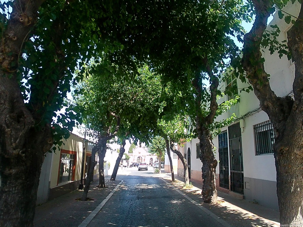 Foto: Calle General García de la Herrán - San Fernando (Cádiz), España