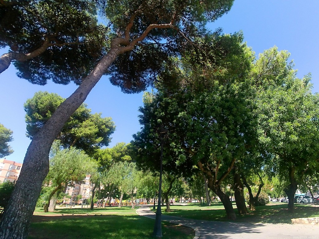 Foto: Parque Sacramento - San Fernando (Cádiz), España