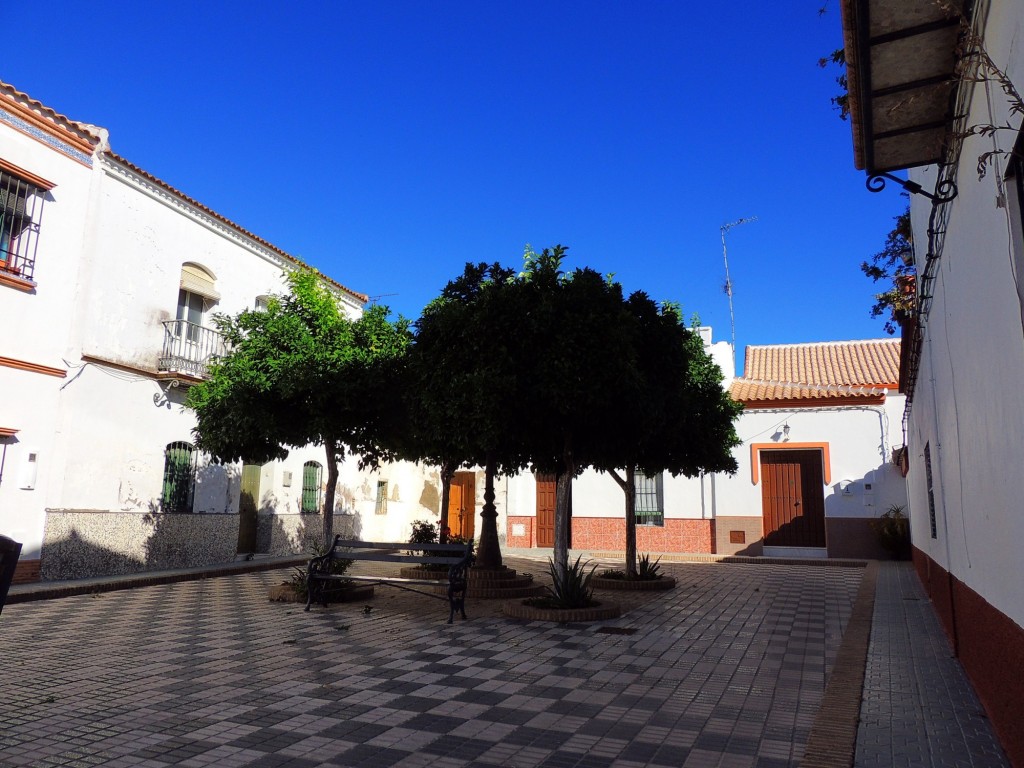 Foto: Plaza del Cortina - Aznalcazar (Sevilla), España