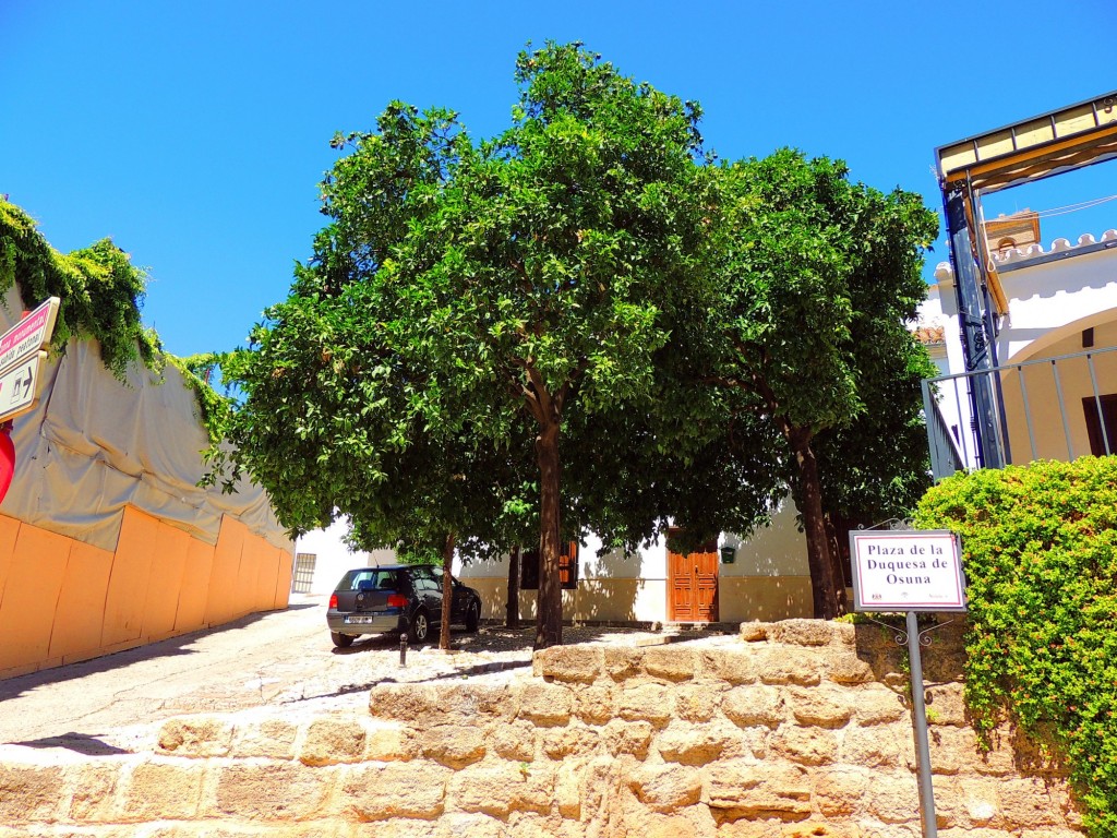 Foto: Plaza Duquesa de Osuna - Osuna (Sevilla), España