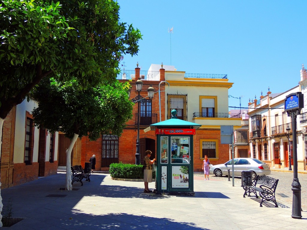 Foto: Plaza Donantes de Organos - Coria del Río (Sevilla), España