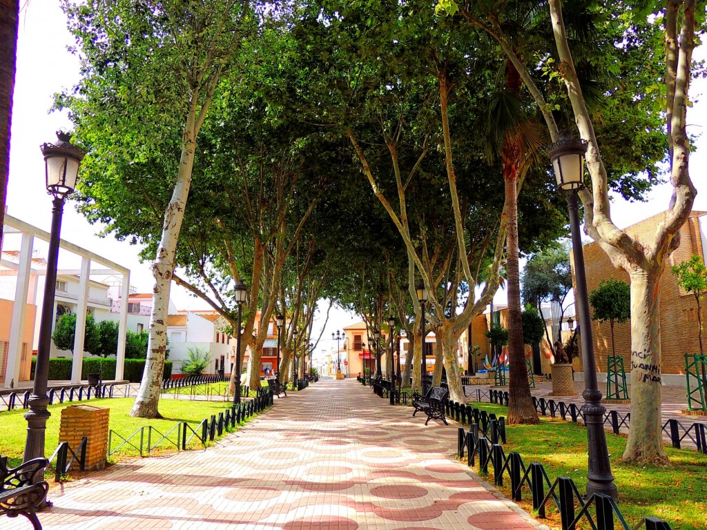 Foto: Plaza Pilar Pulgar - Palos de la Frontera (Huelva), España