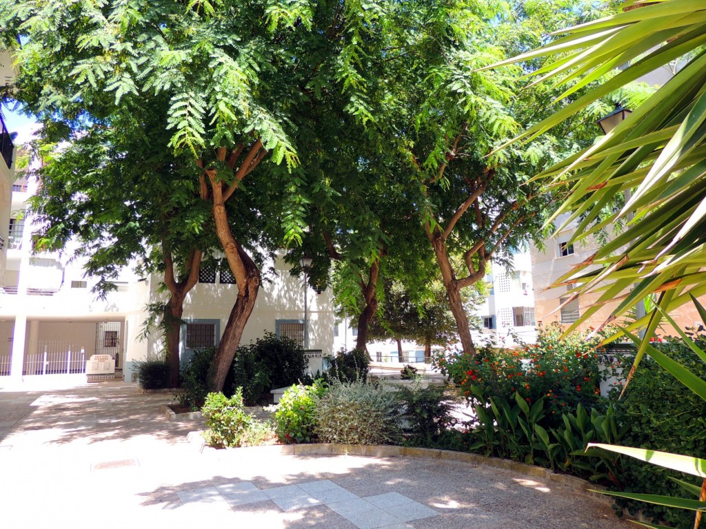 Foto: Plaza Poetísa Mariló Naval - Rota (Cádiz), España