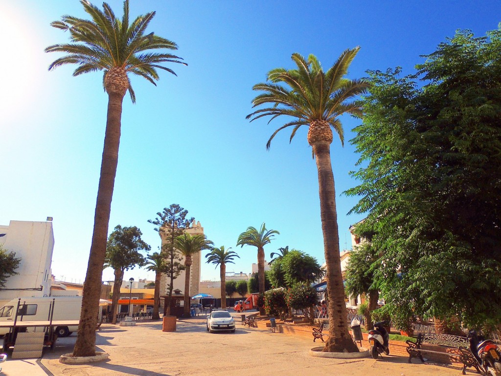 Foto: Plaza Santa Catalina - Conil de la Frontera (Cádiz), España
