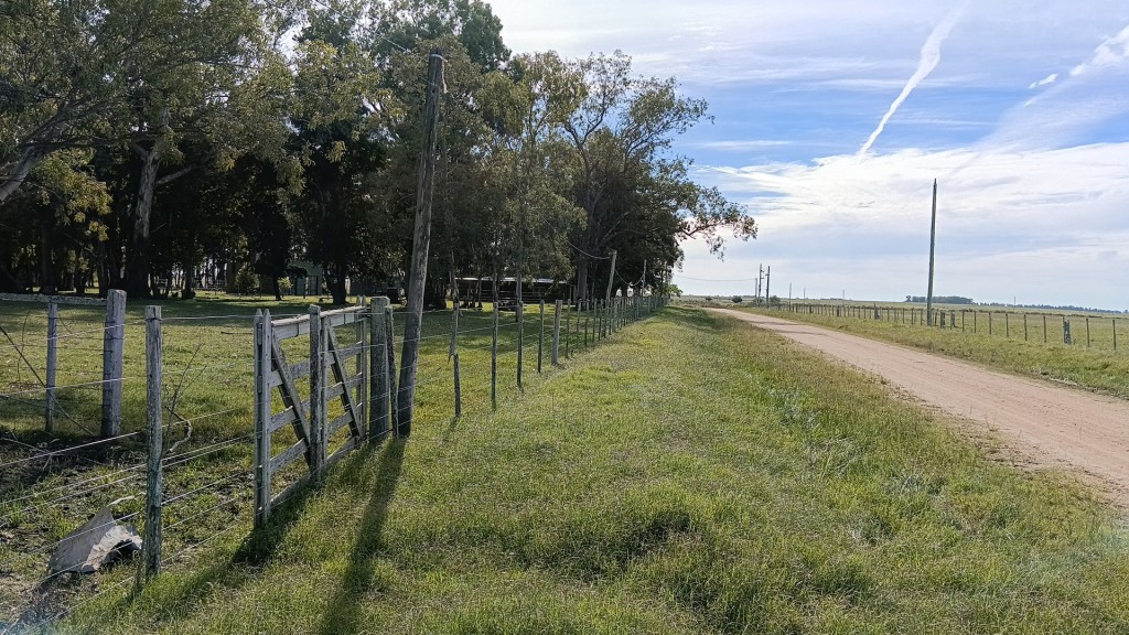 Foto: camino a capilla Navarro Lorenzi - Capilla del Sauce (Durazno), Uruguay