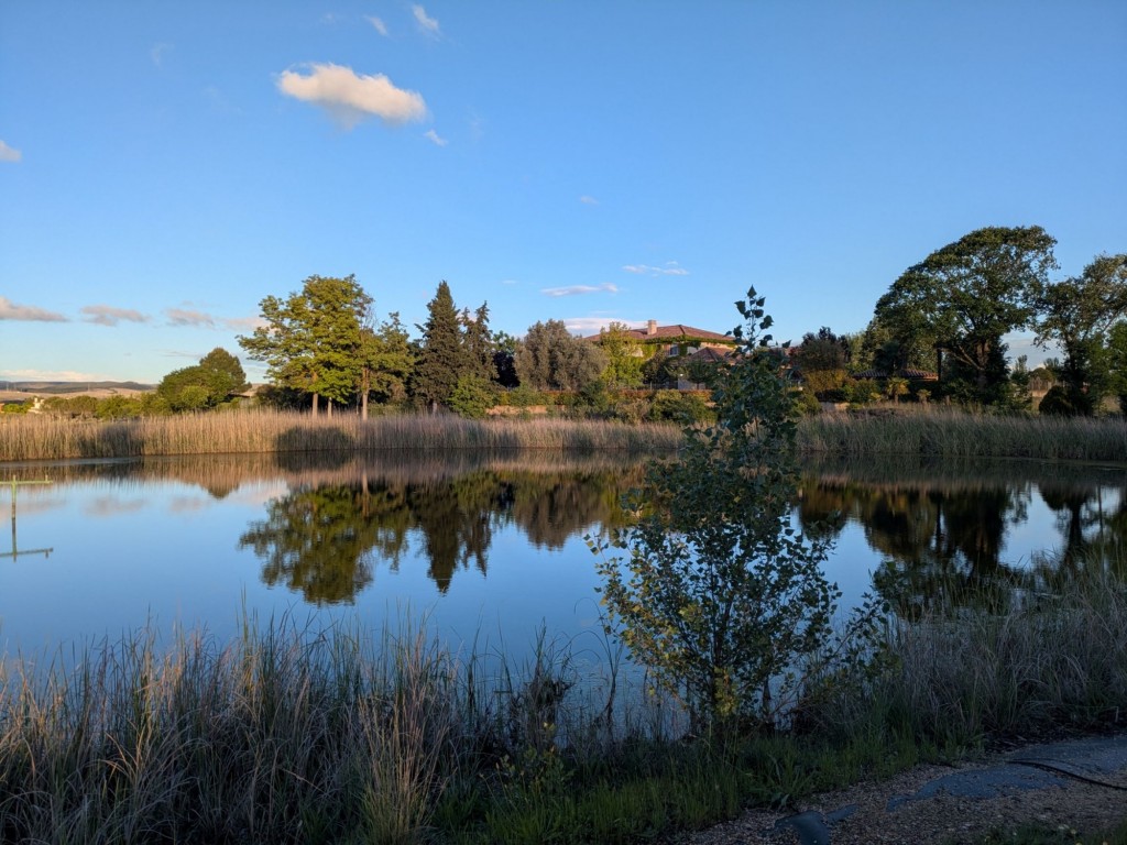 Foto: Campo de Golf - Calatayud (Zaragoza), España