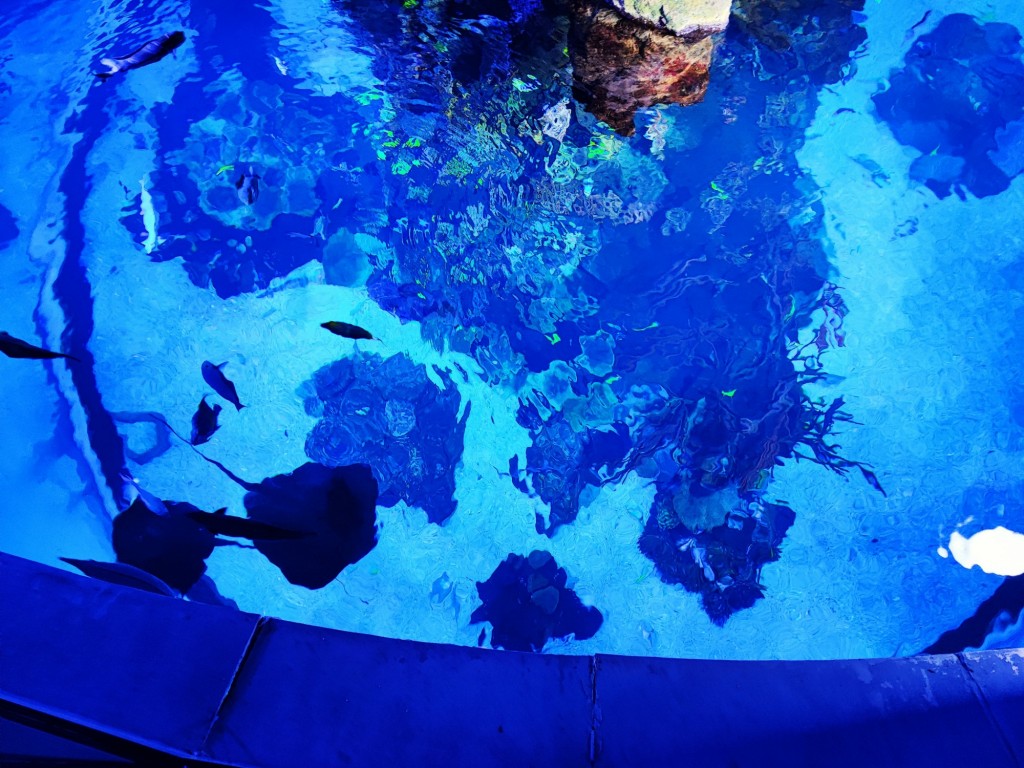 Foto: Acuario Poema del Mar - Las Palmas de Gran Canaria (Las Palmas), España