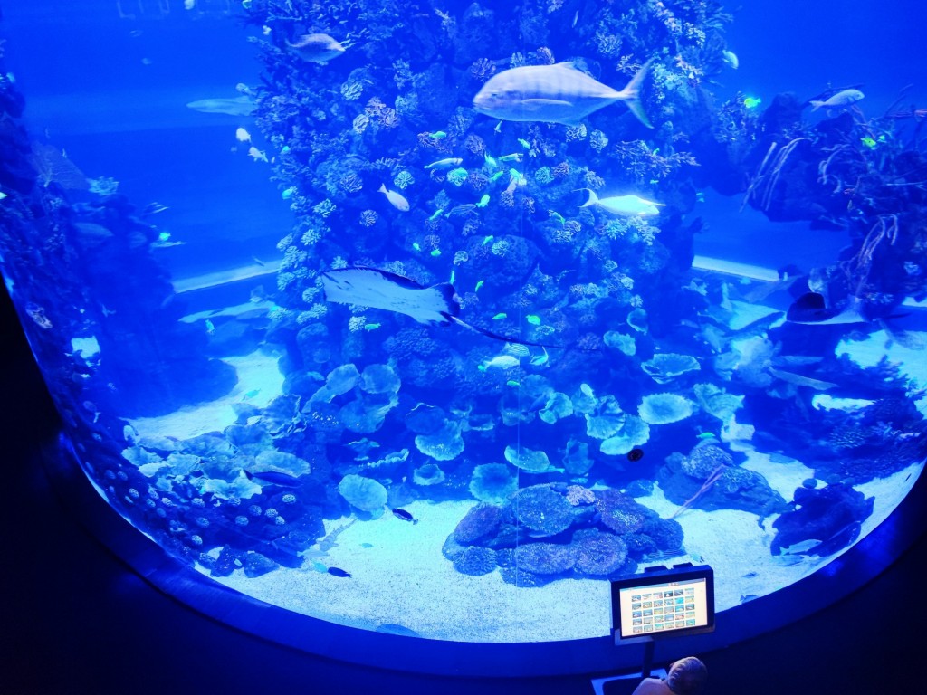 Foto: Acuario Poema del Mar - Las Palmas de Gran Canaria (Las Palmas), España