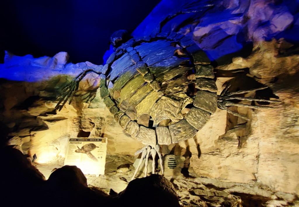 Foto: Acuario Poema del Mar - Las Palmas de Gran Canaria (Las Palmas), España