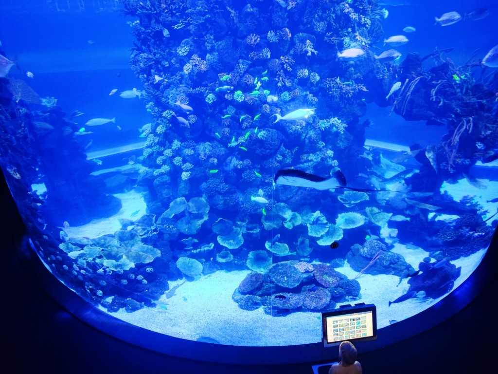 Foto: Acuario Poema del Mar - Las Palmas de Gran Canaria (Las Palmas), España