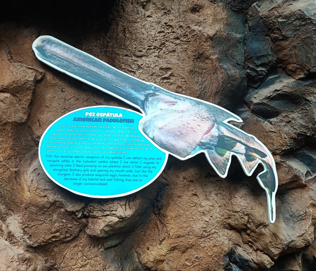 Foto: Acuario Poema del Mar - Las Palmas de Gran Canaria (Las Palmas), España