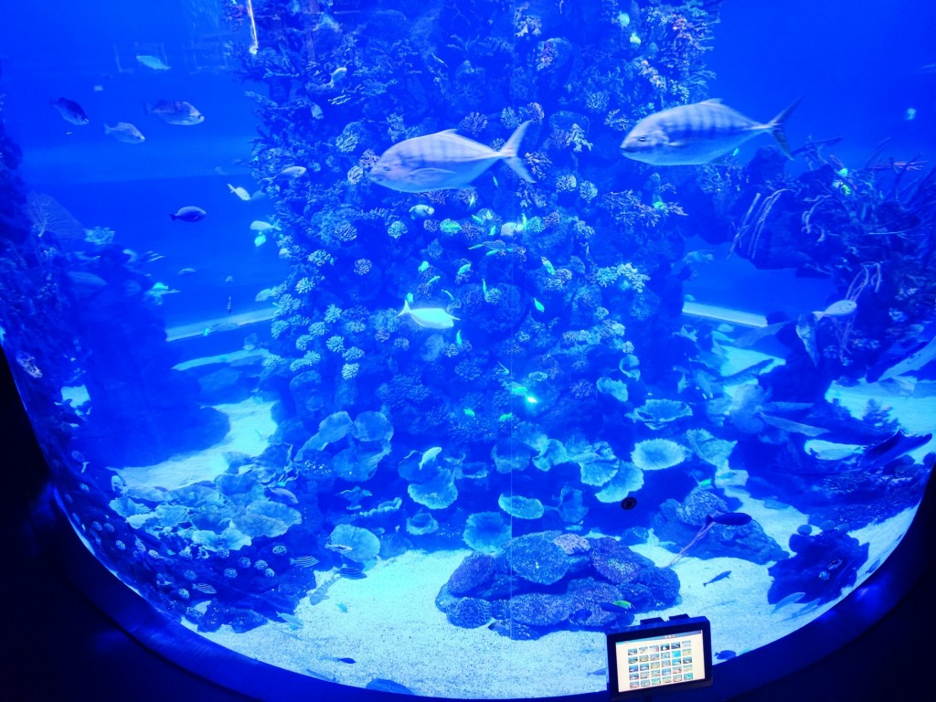 Foto: Acuario Poema del Mar - Las Palmas de Gran Canaria (Las Palmas), España
