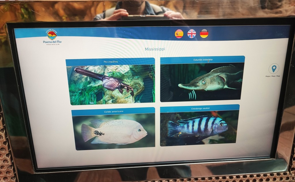 Foto: Acuario Poema del Mar - Las Palmas de Gran Canaria (Las Palmas), España