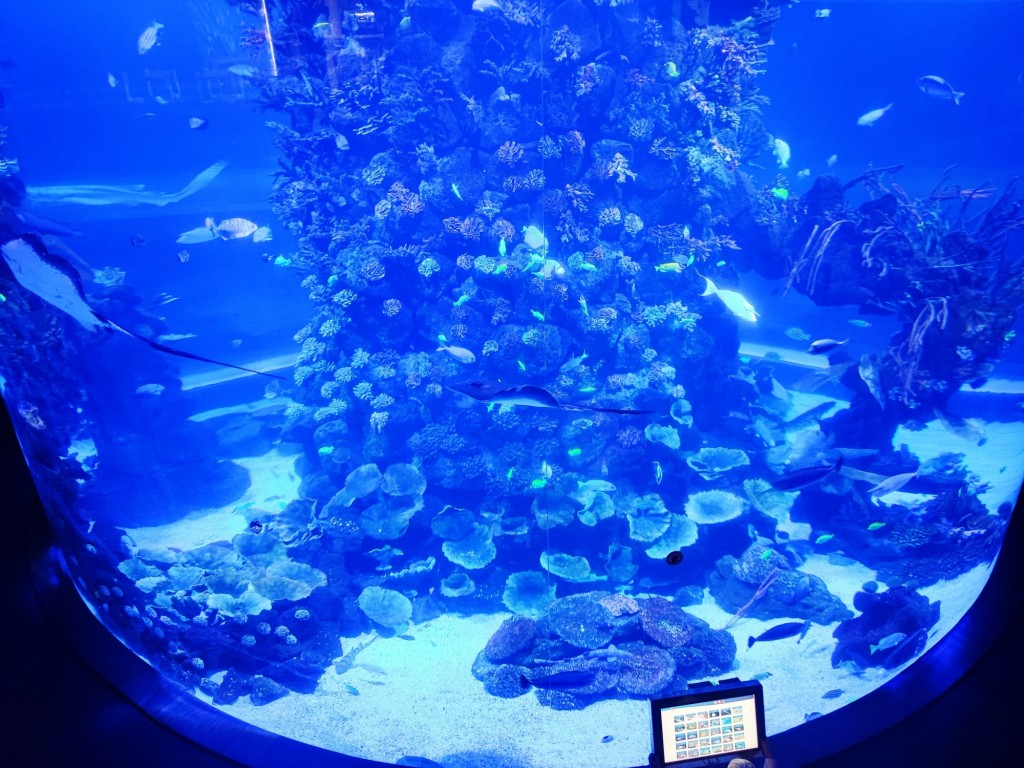 Foto: Acuario Poema del Mar - Las Palmas de Gran Canaria (Las Palmas), España
