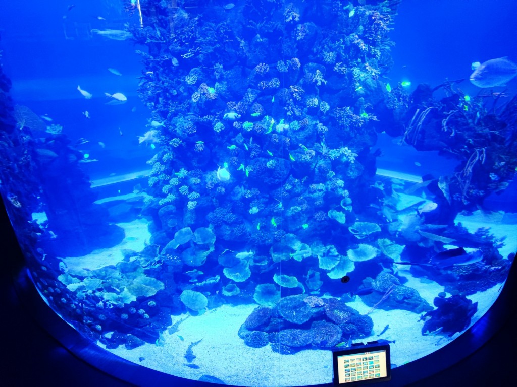 Foto: Acuario Poema del Mar - Las Palmas de Gran Canaria (Las Palmas), España