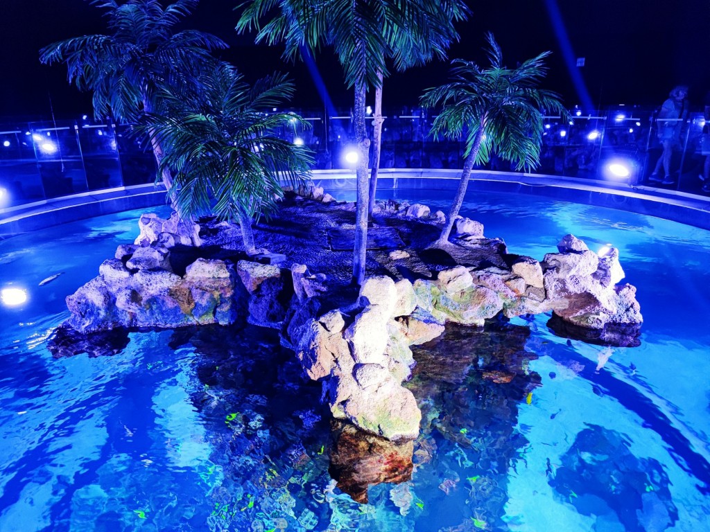 Foto: Acuario Poema del Mar - Las Palmas de Gran Canaria (Las Palmas), España
