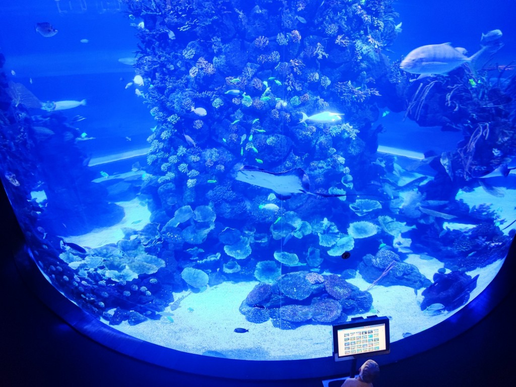 Foto: Acuario Poema del Mar - Las Palmas de Gran Canaria (Las Palmas), España