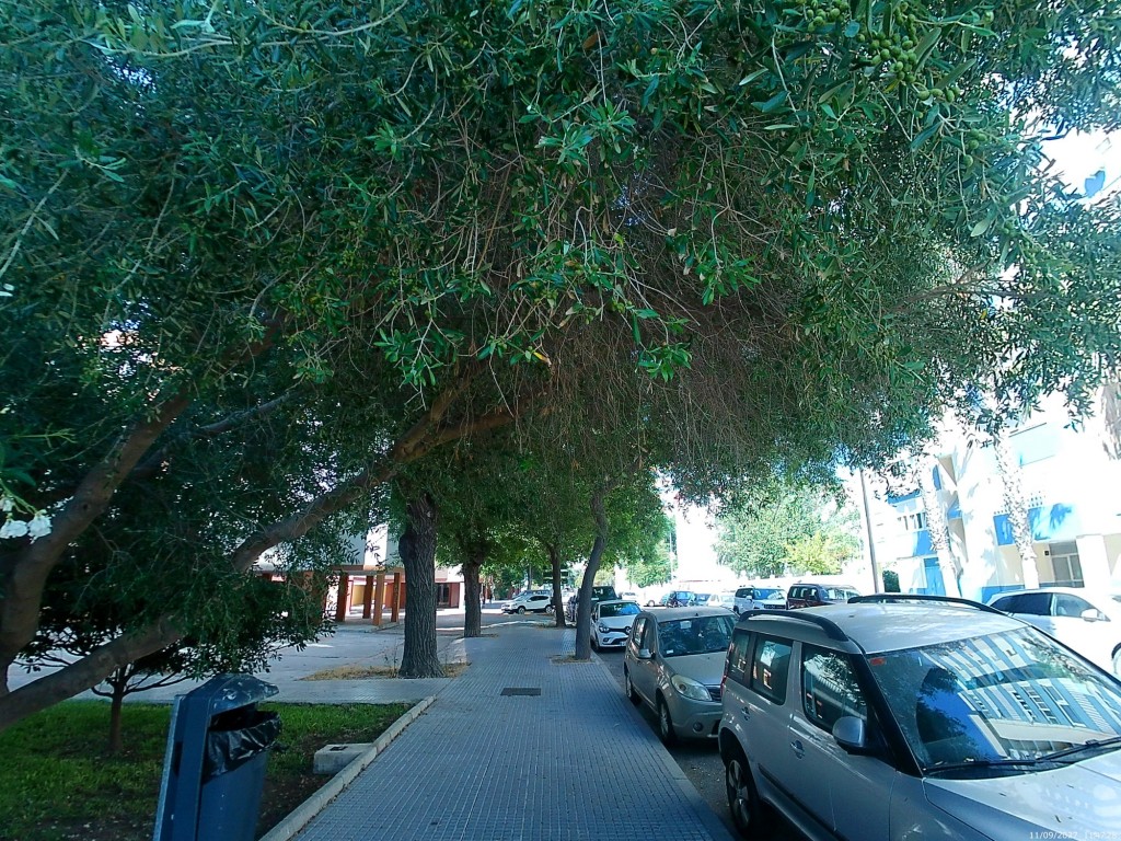 Foto de Cádiz (Andalucía), España