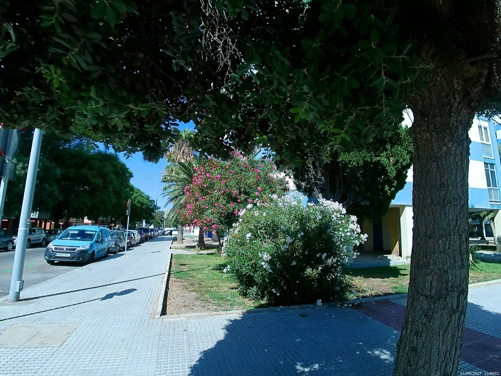 Foto de Cádiz (Andalucía), España